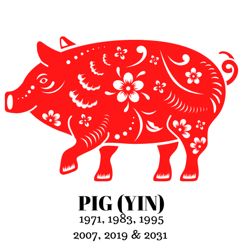 pig